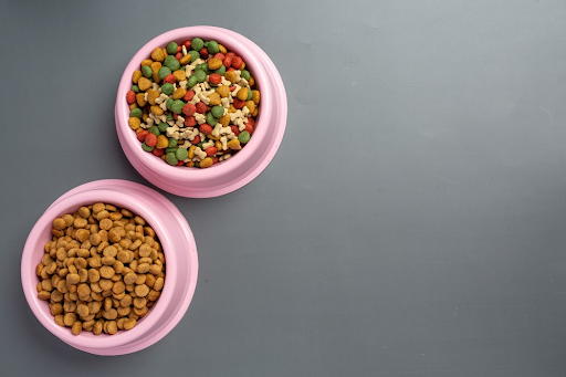 dog food