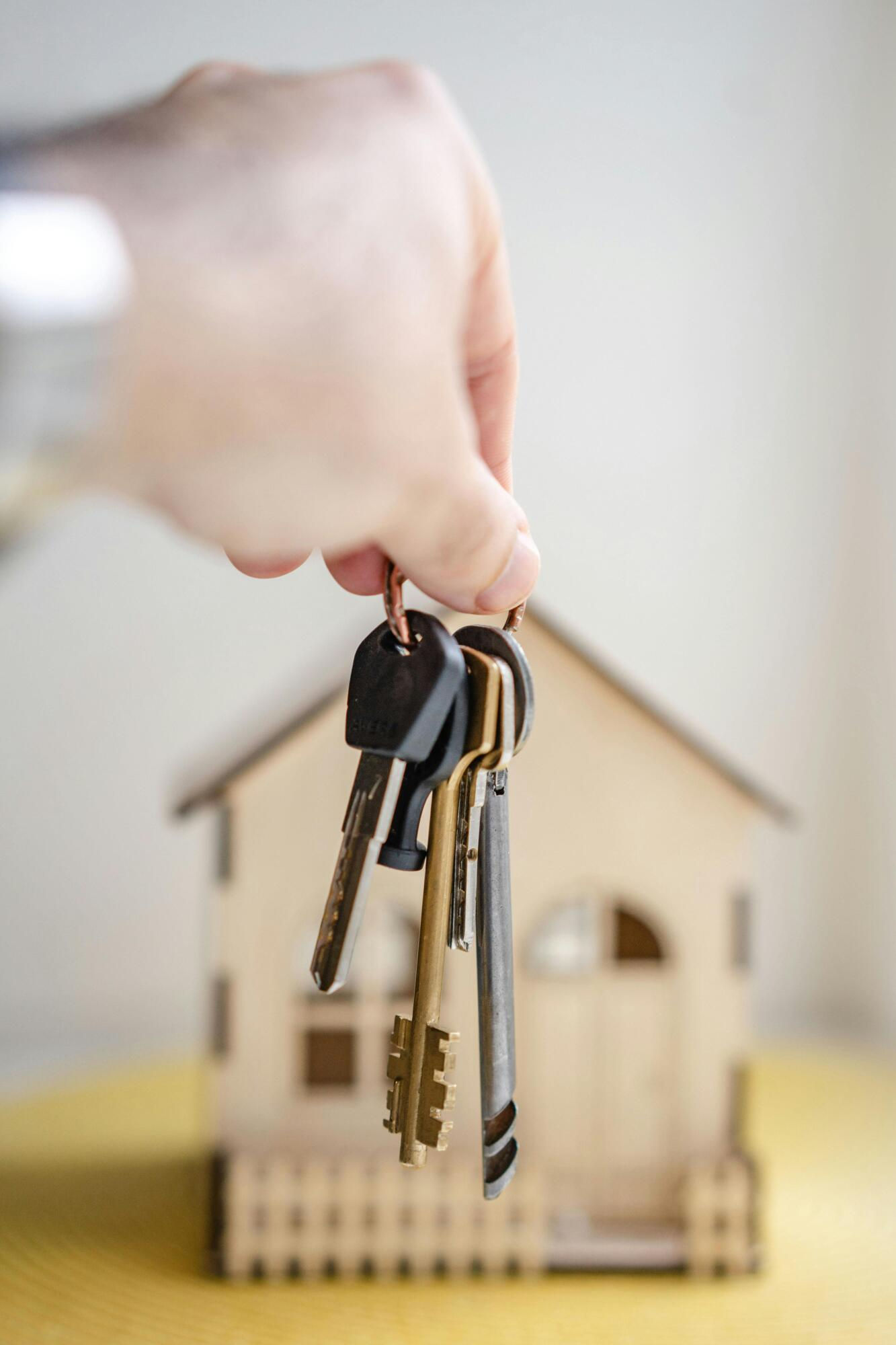 Experienced Partition Lawyers