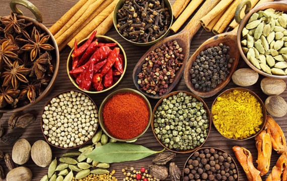 Spicing It Right Key Steps in Condiment Production
