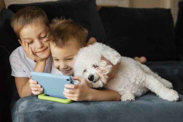 WoofApps: How Digital Innovation is Redefining Dog Care for the Modern Pet Parent WoofApps