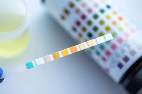 What Employers Need to Know About DOT Physicals and Drug Testing