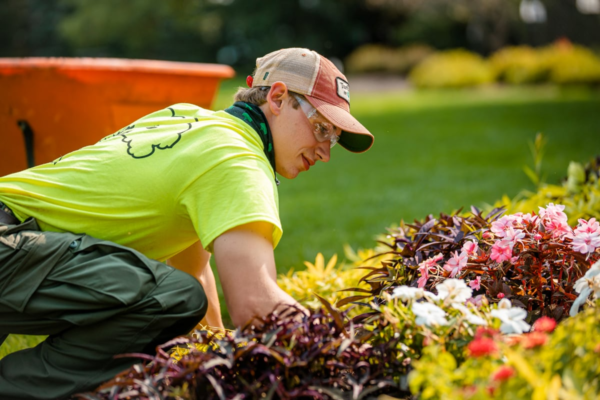 Key Strategies for Maintaining Commercial Landscapes