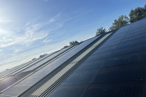 Why should businesses consider commercial solar panels? businesses consider