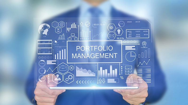 Effective Strategies for Business Portfolio Management