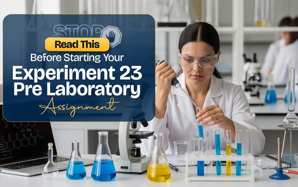 Laboratory Assignment