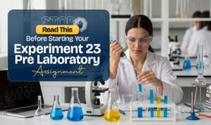 Laboratory Assignment